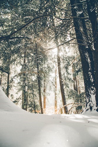 Dry eyes in winter
