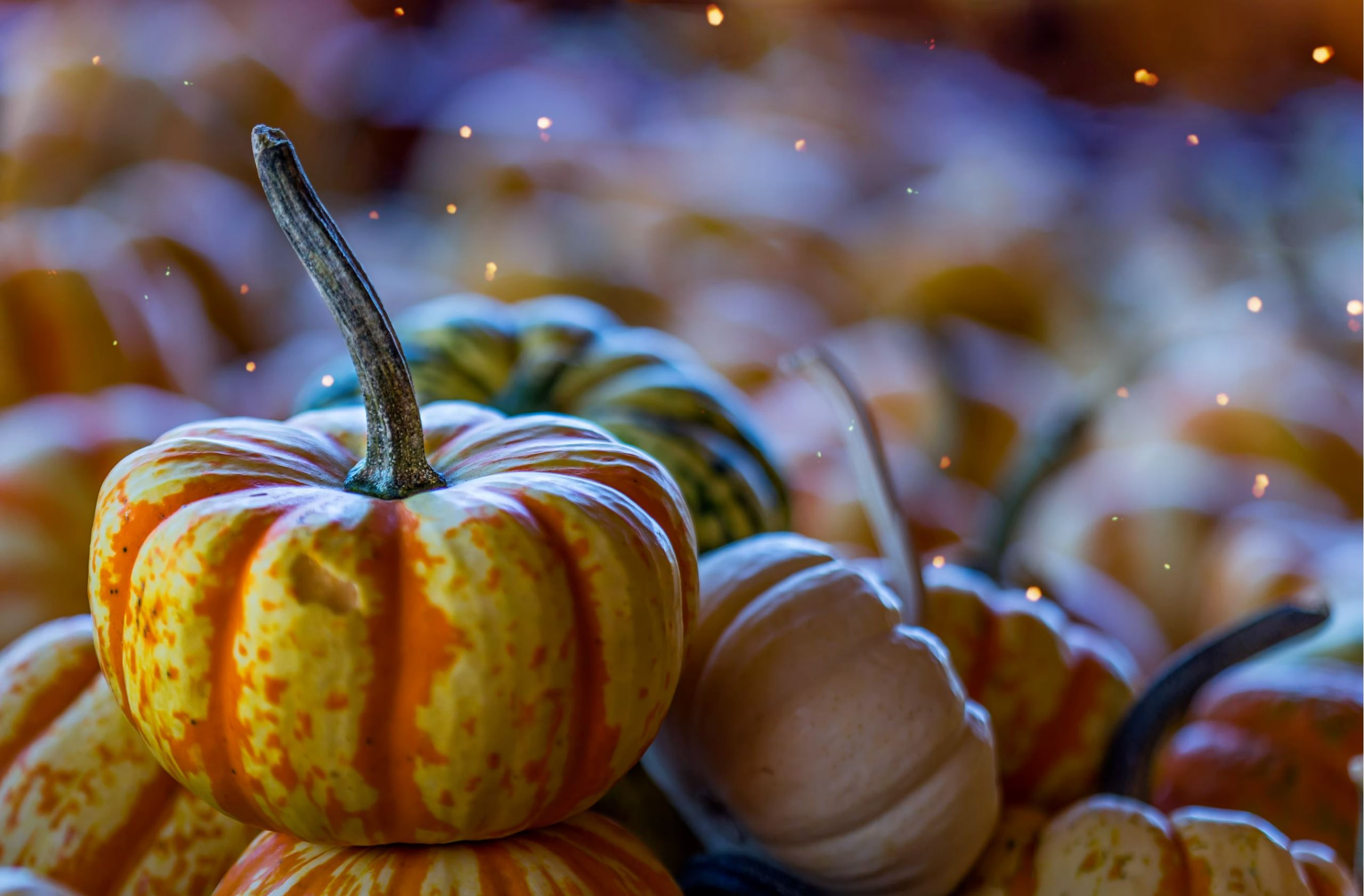 Halloween recipe to benefit eye health