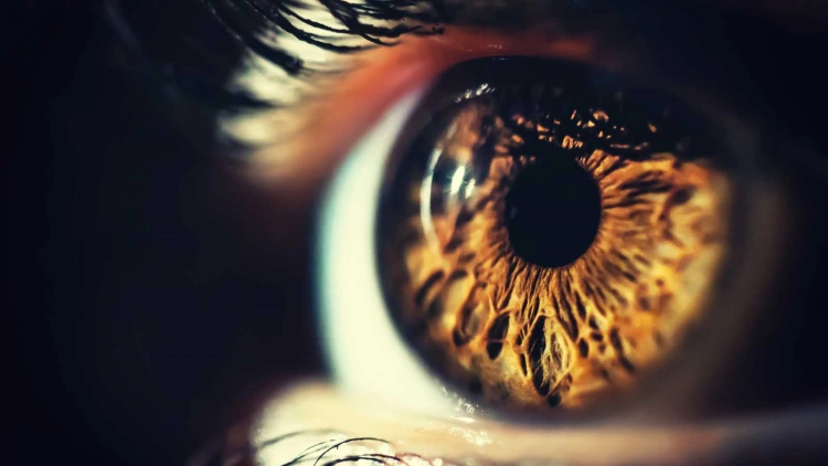 What Is Eye Herpes?