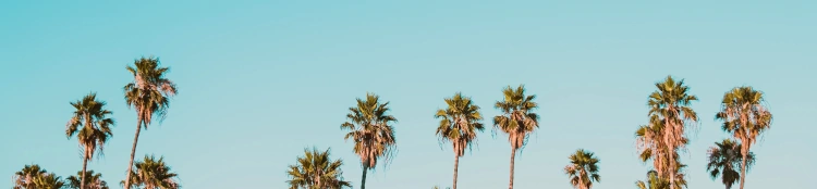 Tips To Keep Your Eyes Protected This Summer